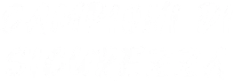 Campioni di Sicurezza