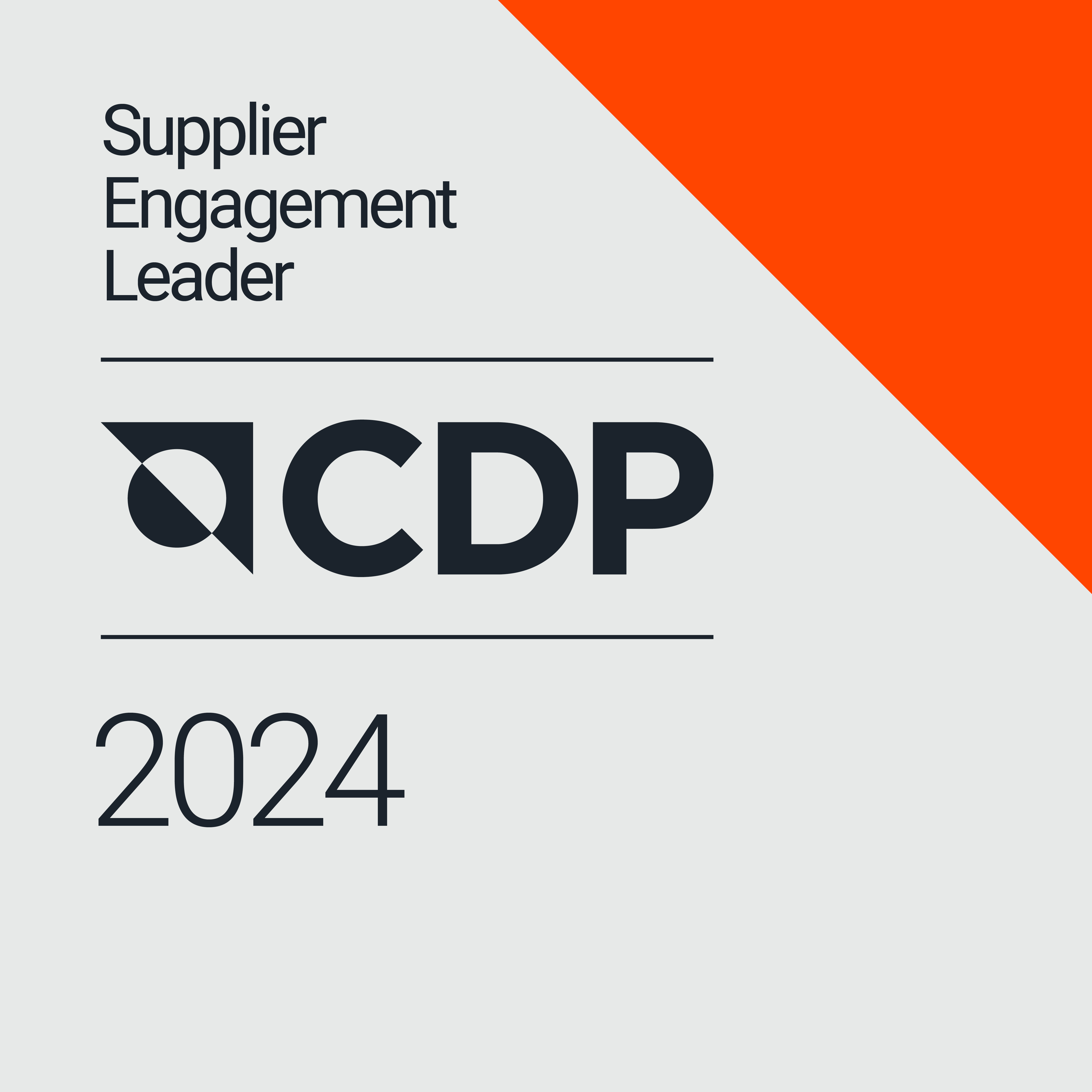 Supplier engagement leader
